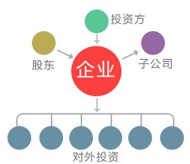 服務(wù)貓 軟件開發(fā)與信息技術(shù)咨詢服務(wù)的專業(yè)伙伴